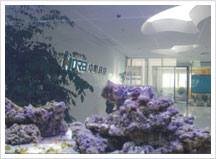 �����Ƽ��k���h(hu��n)��չʾ